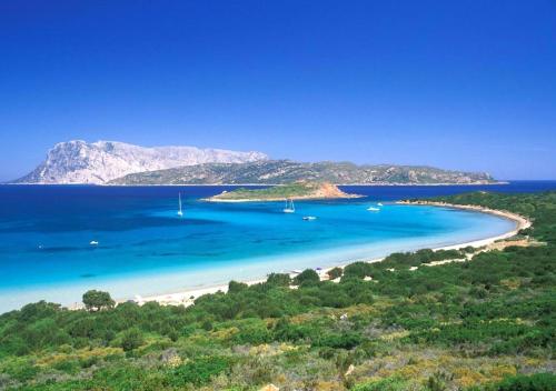 a view of a beach with boats in the water at SAN TEODORO PUNTA EST AMPIO TRILOCALE VISTA MARe in Capo Coda Cavallo