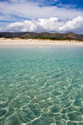 a view of the ocean with a beach in the background at SAN TEODORO PUNTA EST AMPIO TRILOCALE VISTA MARe in Capo Coda Cavallo