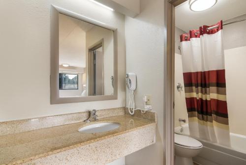 a bathroom with a sink and a mirror and a toilet at Red Roof Inn Durham - Triangle Park in Durham