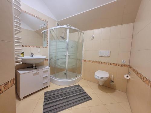 y baño con ducha, aseo y lavamanos. en Dom w Cygańskim Lesie en Bielsko-Biala