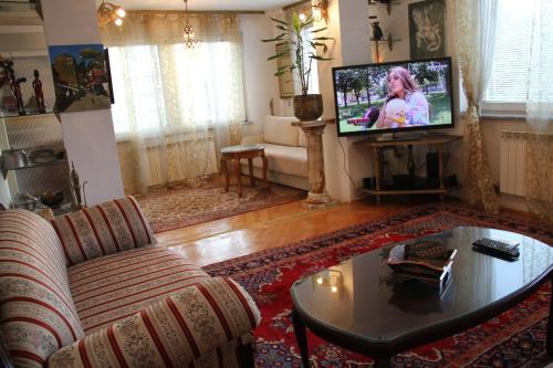 شقق تاون سنتر في سراييفو: غرفة معيشة مع أريكة وتلفزيون