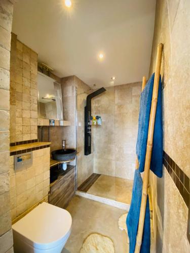 une salle de bain avec toilettes et lavabo dans l'établissement La Venise Annécienne-Studio lumineux, avec parking privé gratuit, proche gare, à Annecy