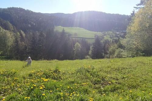 Naturlandschaft in der Nähe der Ferienwohnung