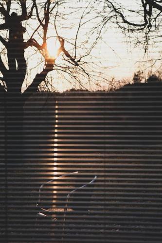 Blick auf den Sonnenuntergang/Sonnenaufgang von der Ferienwohnung aus oder aus der Nähe