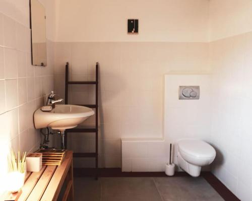 uma casa de banho com um lavatório e um WC em Kmetija Pečnik em Prevalje