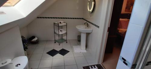 uma pequena casa de banho com lavatório e WC em 'Neasa' Luxury Double Bedroom em Foxford