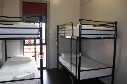two bunk beds in a room with a window at The Jack Backpackers in Cairns