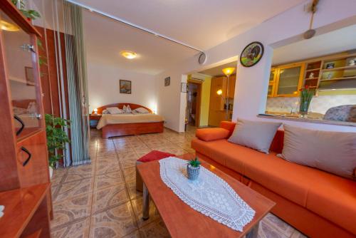 een woonkamer met een bank en een bed bij Apartments Anita in Pula