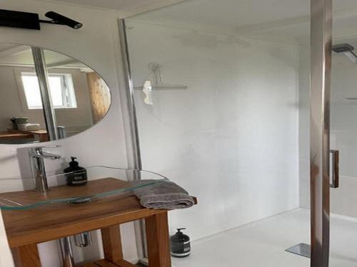 a bathroom with a shower and a mirror at The Tiny Nest in Palmerston North