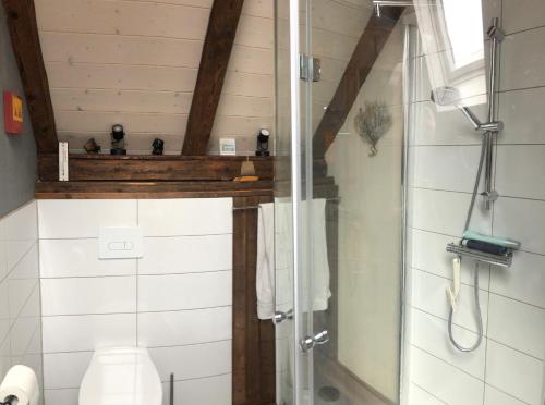 La salle de bains est pourvue d'une douche et de toilettes. dans l'établissement Ferienwohnung in historischem 3-Seitenhof, à Leipzig