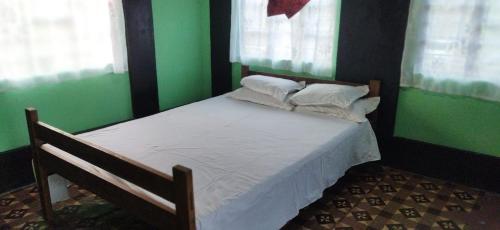 a bedroom with a bed with green walls and windows at view point homestay in Mawlynnong