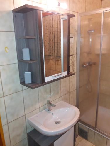 uma casa de banho com um lavatório e um chuveiro em Ferienwohnung Alex em Heiligenblut