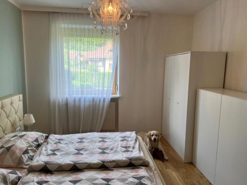 Postel nebo postele na pokoji v ubytování MILLIEs hosting - Familienurlaub mit Hund in Kärnten