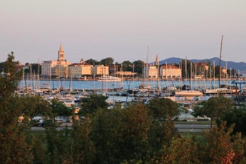 Nikola Luxury Apartments Borik