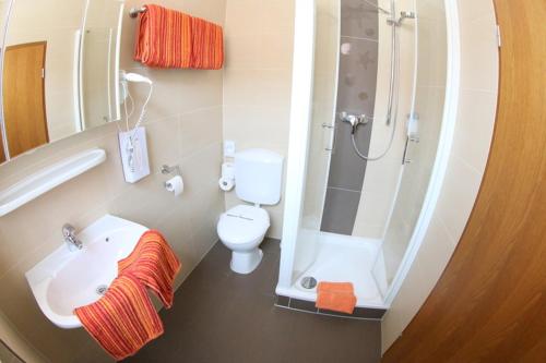 ein Bad mit einer Dusche, einem WC und einem Waschbecken in der Unterkunft Gästehaus Grüner Baum in Sankt Martin