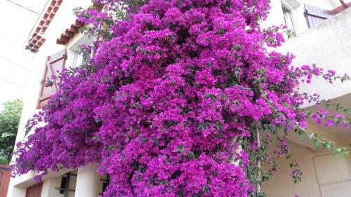 MAISON 6 personnes 80M2 ENTRE LES CALANQUES DU MUGEL ET FIGUEROLLES