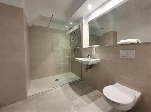 a bathroom with a shower and a toilet and a sink at Green GardenHotel in Raszyn