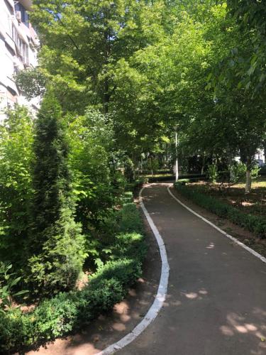 a winding road in a park with trees and bushes at Laguna Apartament in Brăila