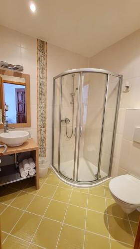 a bathroom with a shower and a toilet and a sink at Penzion Valkoun-Lilienfeld in Karlovy Vary