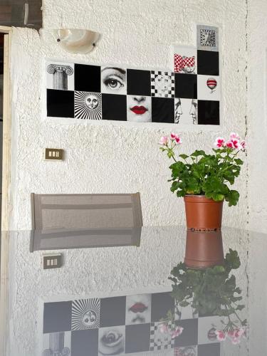 a plant in a vase on a wall with pictures at Rifugio Giudeo in Balestrate