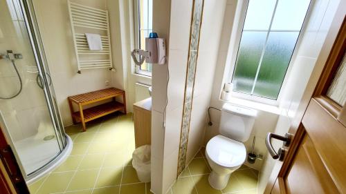 a bathroom with a toilet and a shower at Penzion Valkoun-Lilienfeld in Karlovy Vary