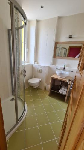 a bathroom with a toilet and a sink and a shower at Penzion Valkoun-Lilienfeld in Karlovy Vary