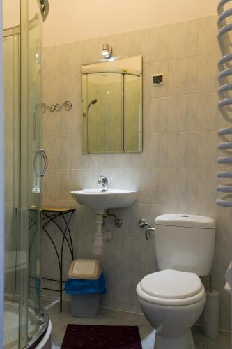 a bathroom with a toilet and a sink at Milusia Muszyna in Muszyna