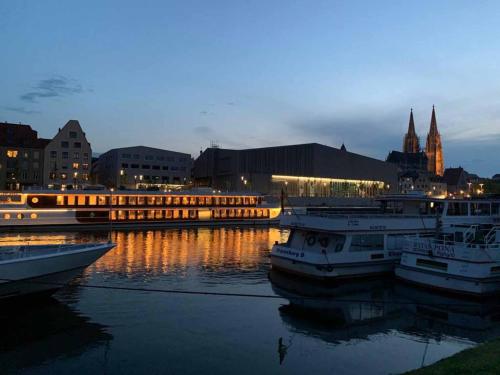 een groep boten aangemeerd in een haven 's nachts bij Ferienwohnungen Wolke in Regensburg