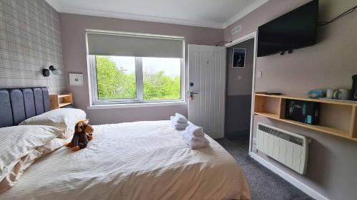 Gallery image of 5 Glenconon Bed and Breakfast in Uig