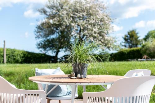a wooden table with chairs and a potted plant on it at Strandperle Appartements in Hasselberg