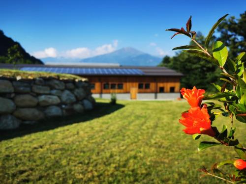 Gallery image of Agriturismo La Ca' d'Amelio in Lessolo
