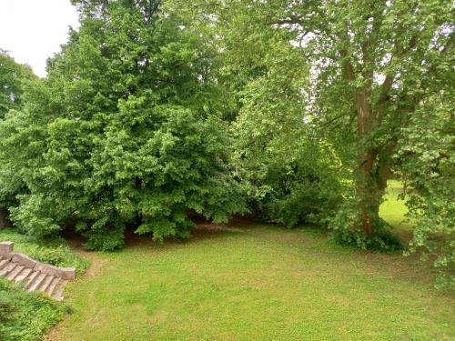 Jardín al aire libre en Zámecký areál Holovousy