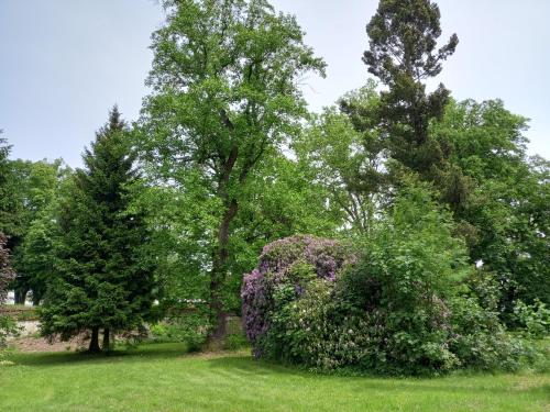 Jardín al aire libre en Zámecký areál Holovousy