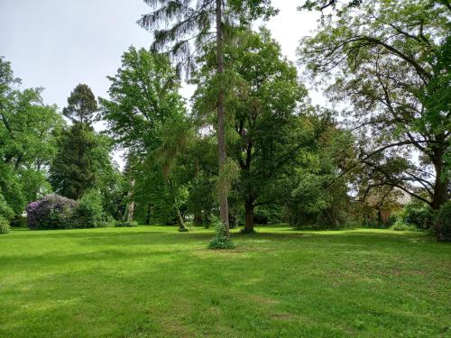 Jardín al aire libre en Zámecký areál Holovousy