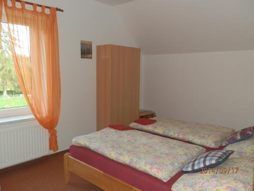 a bedroom with two beds and a window at Penzion Naděje in Benešov nad Černou