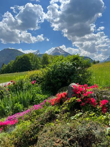 un campo de flores con montañas en el fondo en Oberstöberl, en Bischofswiesen