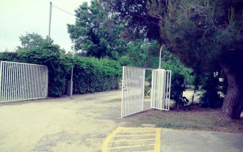 Φωτογραφία από το άλμπουμ του Paliouri Luxury Bungalows στο Παλιούρι