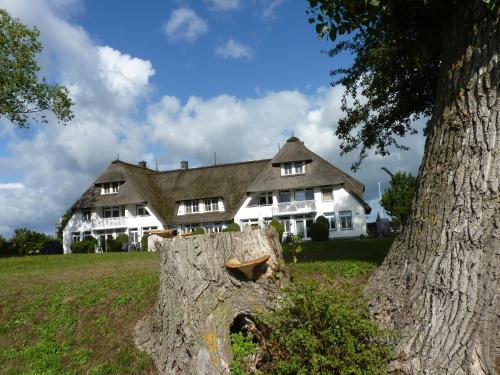a large white house with a tree in front of it at Das Landhaus am Haff B10 in Stolpe