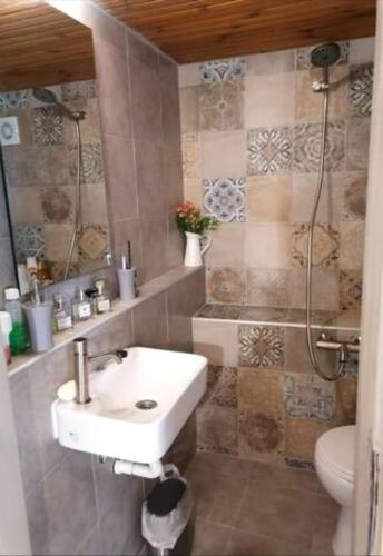 a bathroom with a sink and a toilet at Maria's traditional house in Trikeri