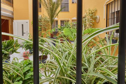 Two Bedrooms Leonor Davalos 2