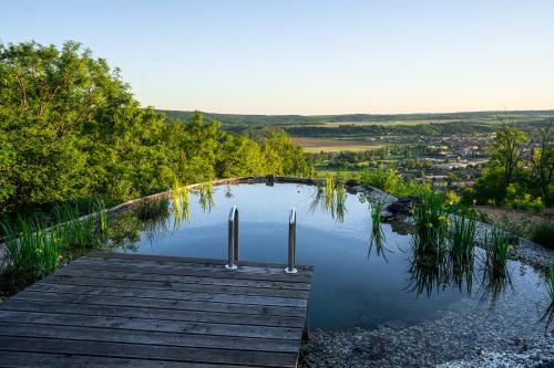 a small pond with a wooden dock in the water at Maringotka Olívie v Ivančicích in Ivančice