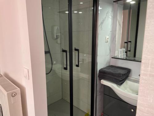 a bathroom with a glass shower and a sink at Family Hôtel FUTUROSCOPE in Jaunay-Clan