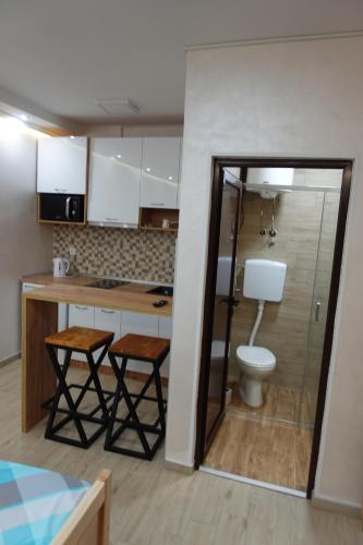 a small kitchen with a toilet and a sink at STIV Apartmani in Lukovo