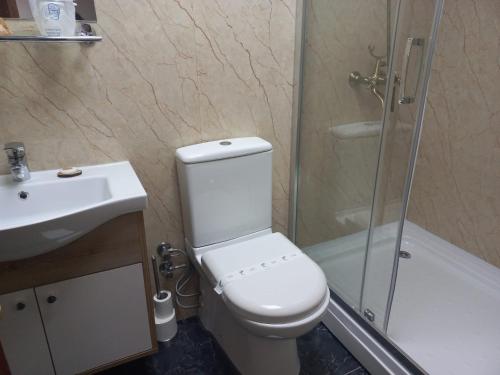 a bathroom with a toilet and a shower and a sink at Marina in Ribadesella