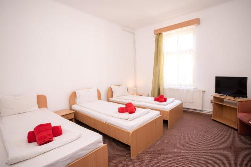 Postel nebo postele na pokoji v ubytování Pension GreenHouse