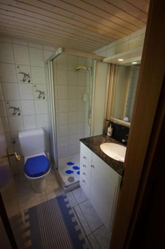 a bathroom with a shower and a toilet and a sink at Ferienwohnung Betula in Schwarzsee