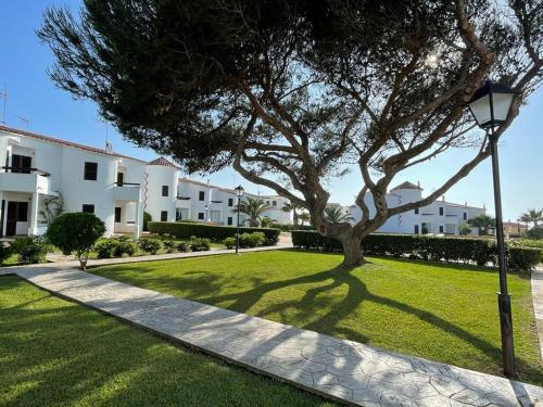 un árbol en medio de un césped con una luz de la calle en Sa Posta De Sol, en Cala en Blanes