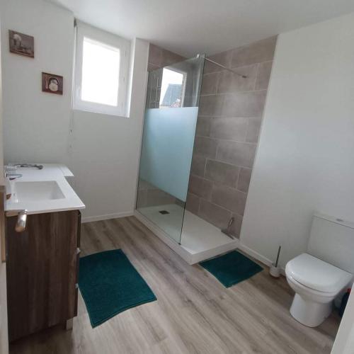 une salle de bain avec une douche, des toilettes et un lavabo dans l'établissement Agréable Maison proche Etretat, à Criquetot-lʼEsneval