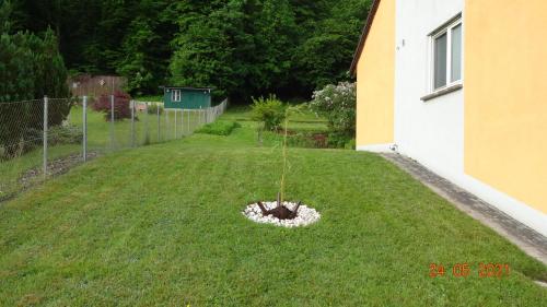 a yard with a flower bed in the grass at FeWo Eberau in Ebrach