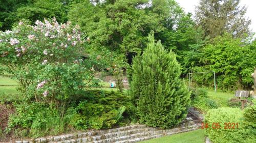 a garden with bushes and trees and a stone wall at FeWo Eberau in Ebrach